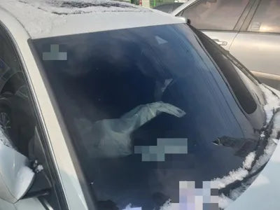 2018 Audi A6 WAUZZZ4GXJN055565 VIN:WAUZZZ4GXJN055565