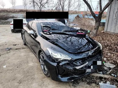 2019 Kia Stinger KNAE351ABKS062346 VIN:KNAE351ABKS062346