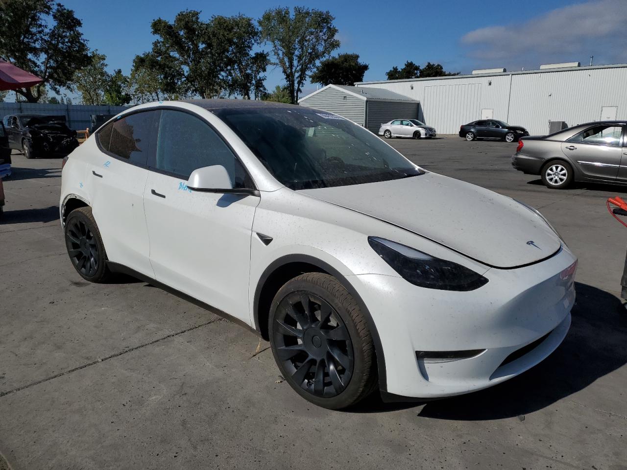 2023 TESLA MODEL Y  VIN:7SAYGAEE9PF835117