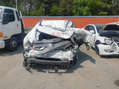 2019 Hyundai Santa FE KMHS381CDKU157417 VIN:KMHS381CDKU157417