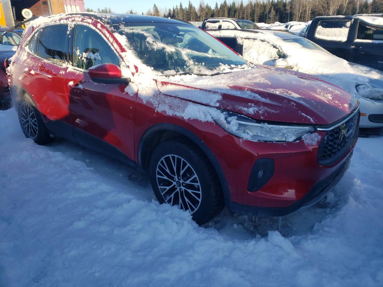 2024 FORD ESCAPE  VIN:1FMCU0E18RUB14879