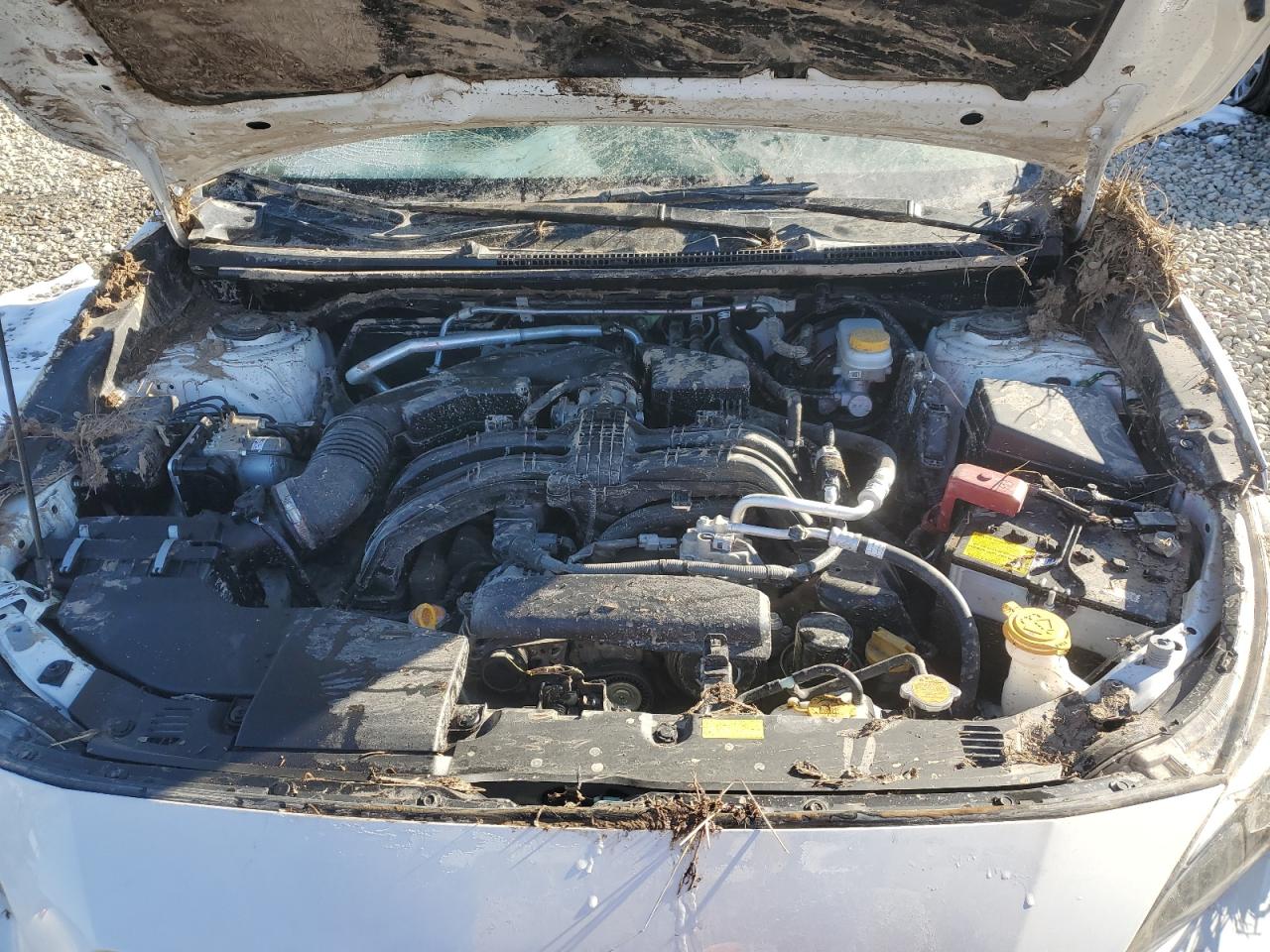 2023 SUBARU CROSSTREK SPORT VIN:JF2GTHSC6PH263814