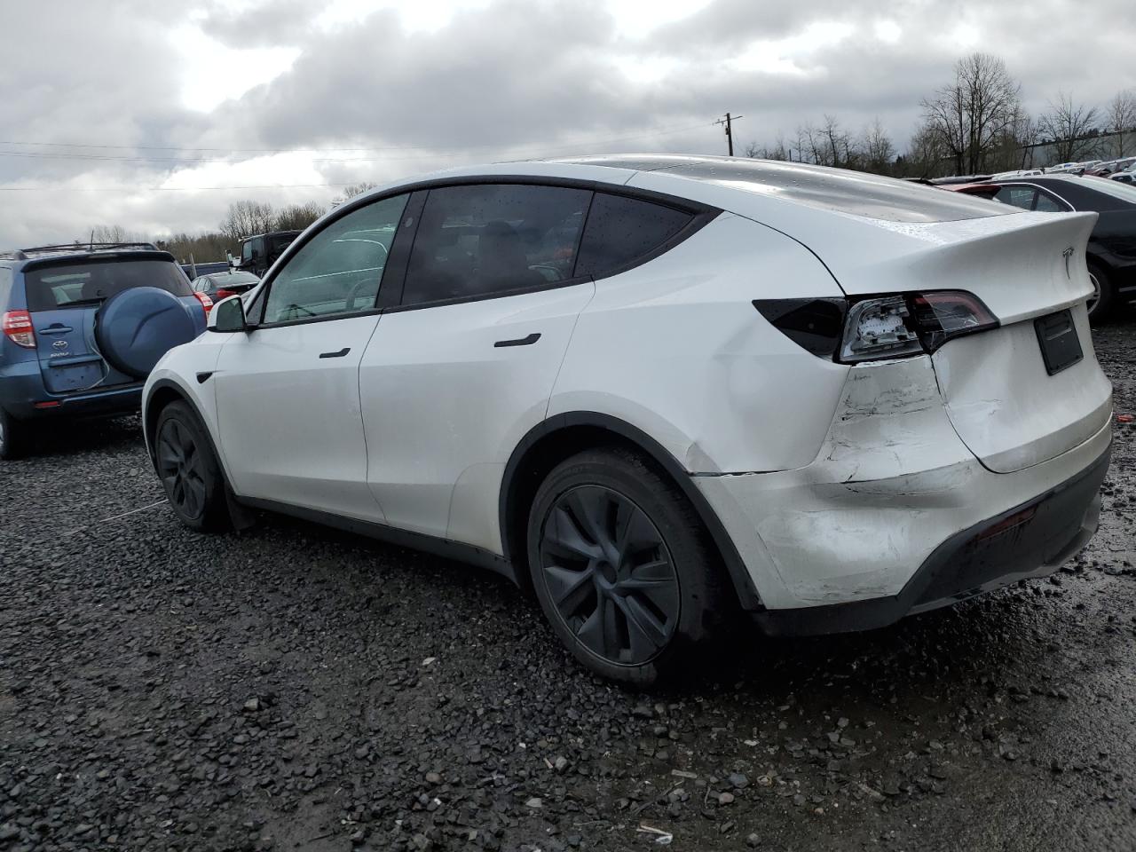 2024 TESLA MODEL Y  VIN:7SAYGDEE5RF115706