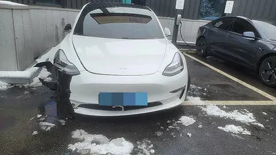 2020 Tesla Model 3 5YJ3E1EB2LF733512 VIN:5YJ3E1EB2LF733512