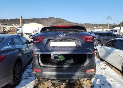 2019 Kia Sorento KNAPS81ABKA509598 VIN:KNAPS81ABKA509598