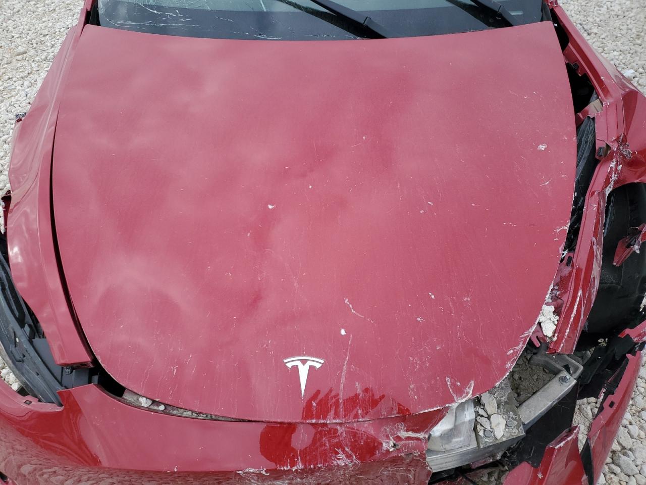 2022 TESLA MODEL Y  VIN:7SAYGDEF0NF494939