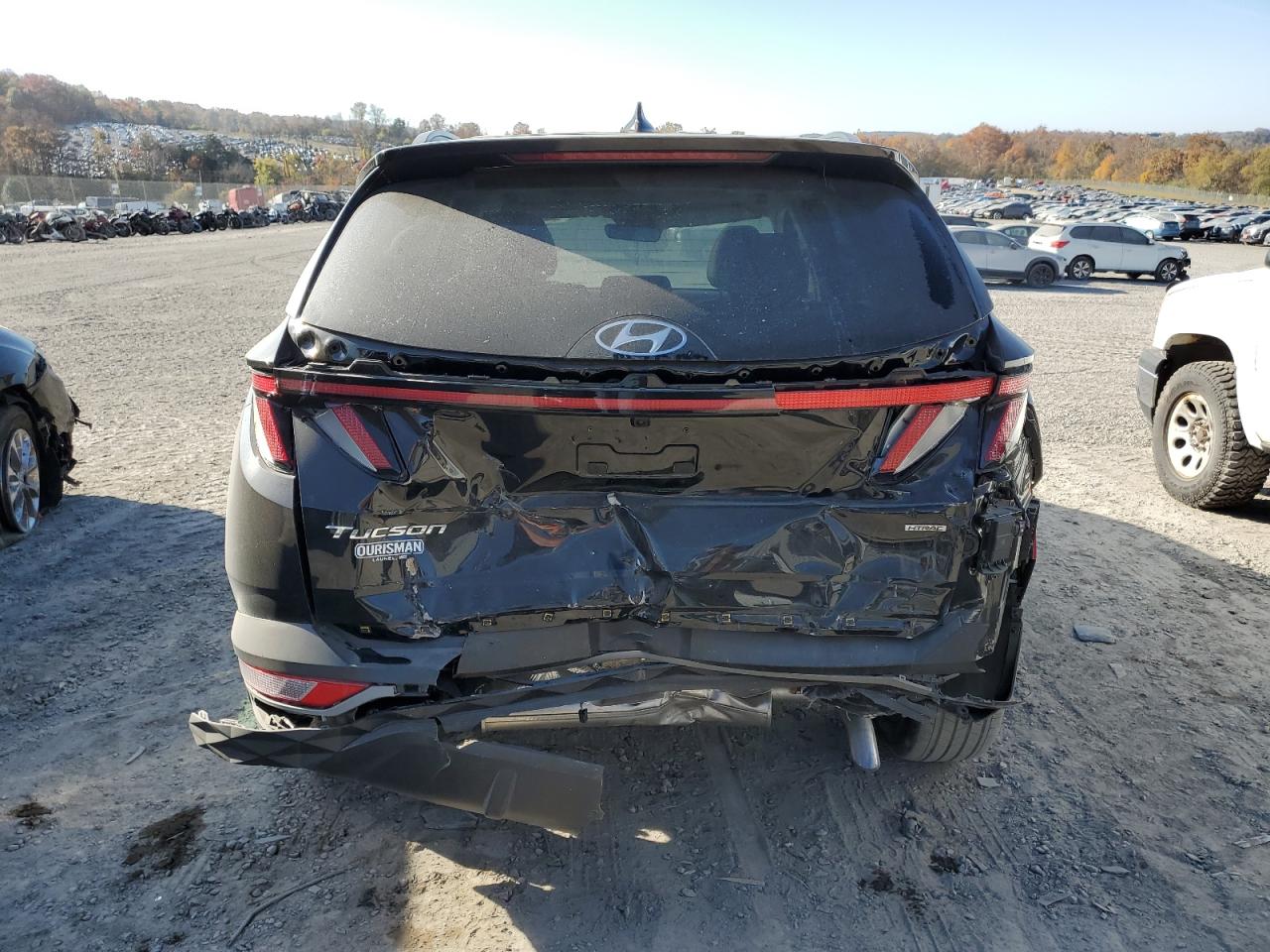 2024 HYUNDAI TUCSON SEL VIN:5NMJFCDE8RH351830