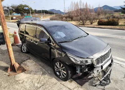 2020 Kia Carnival KNAMB81ABLS625801 VIN:KNAMB81ABLS625801