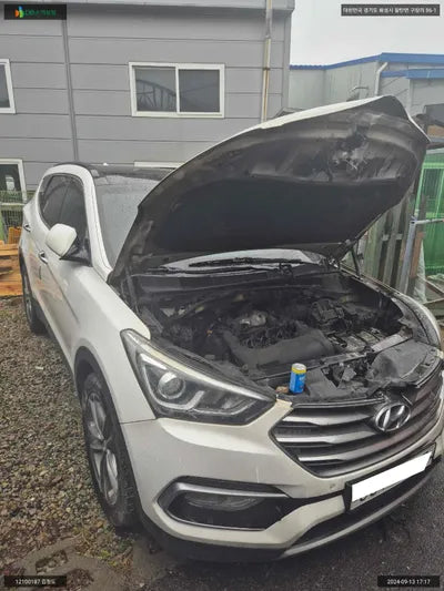 2016 Hyundai Santa FE KMHSW81XDGU687616 VIN:KMHSW81XDGU687616