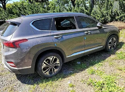 2020 Hyundai Santa FE KMHS381BBLU248387 VIN:KMHS381BBLU248387