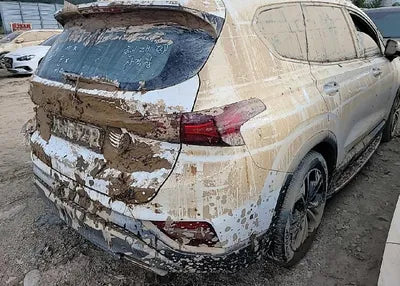2019 Hyundai Santa FE KMHS381ADKU132219 VIN:KMHS381ADKU132219