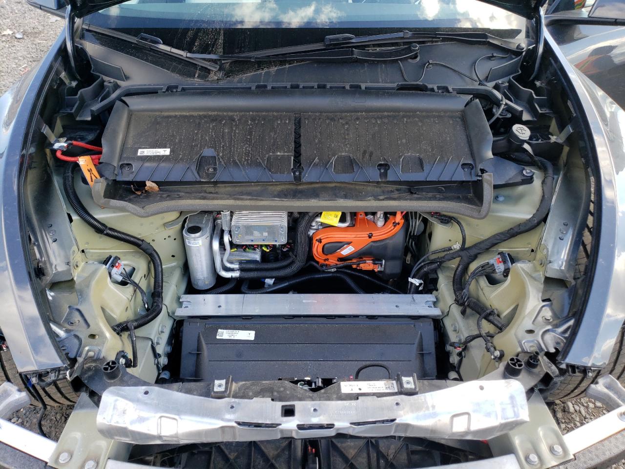 2024 TESLA MODEL Y  VIN:7SAYGDEDXRF042808