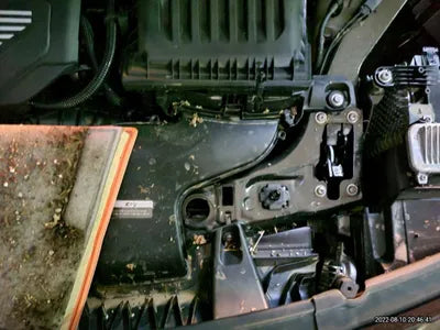 2021 BMW 220 WBA11DF0XM5S81469 VIN:WBA11DF0XM5S81469