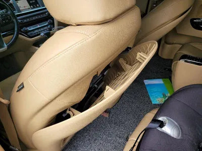 2020 Kia Carnival KNAME81ABLS631790 VIN:KNAME81ABLS631790