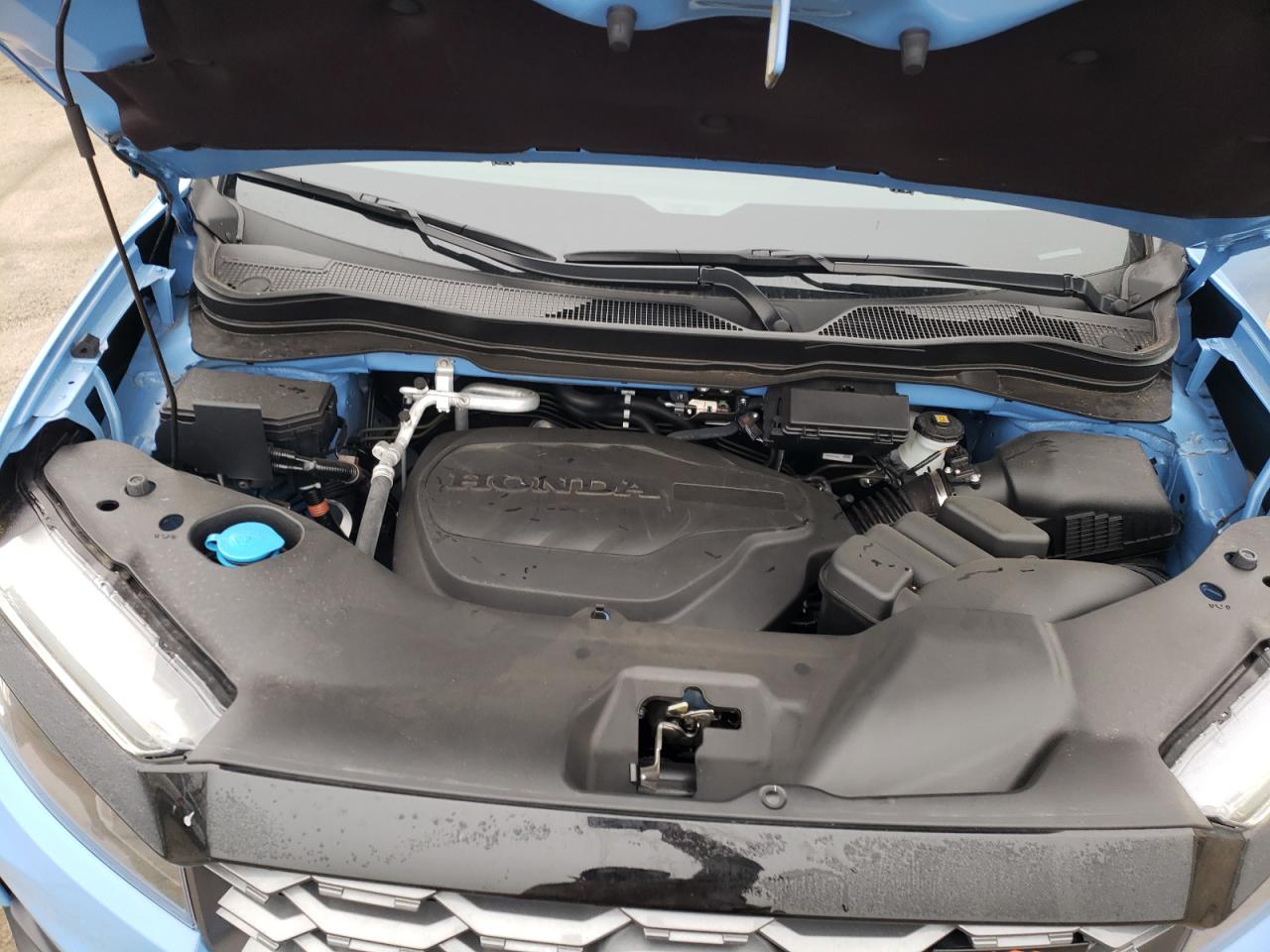 2024 HONDA PASSPORT TRAIL SPORT VIN:5FNYF8H65RB013169