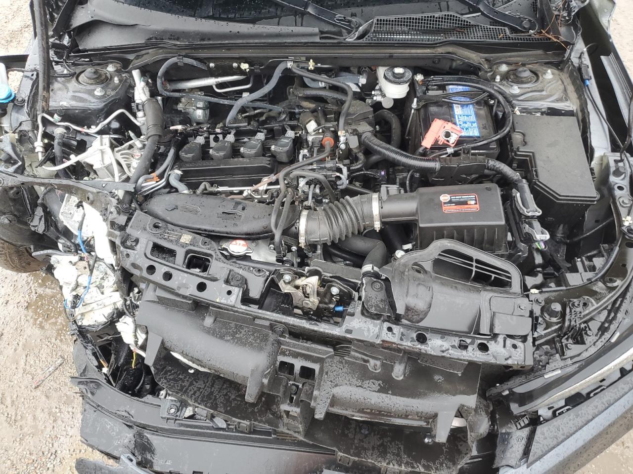 2024 HONDA CIVIC EX VIN:2HGFE1F73RH311793