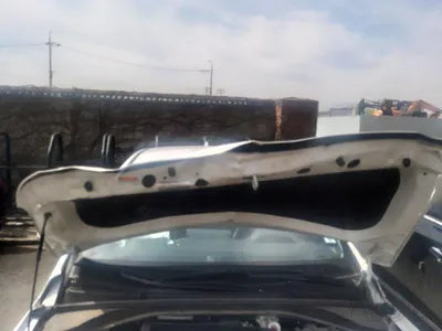 2020 Hyundai Ioniq KMHC851CGLU196633 VIN:KMHC851CGLU196633