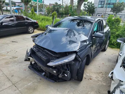 2020 Hyundai Kona KMHK1817GLU563496 VIN:KMHK1817GLU563496