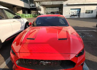 2019 Ford Mustang 1FA6P8TH1K5165654 VIN:1FA6P8TH1K5165654
