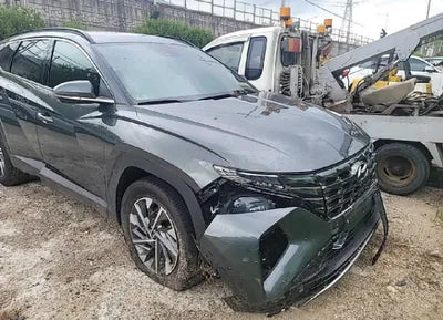 2021 Hyundai Tucson KMHJE811BMU008494 VIN:KMHJE811BMU008494