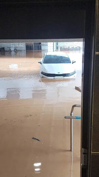 2021 Kia K5 KNAG541JBMA013217 VIN:KNAG541JBMA013217