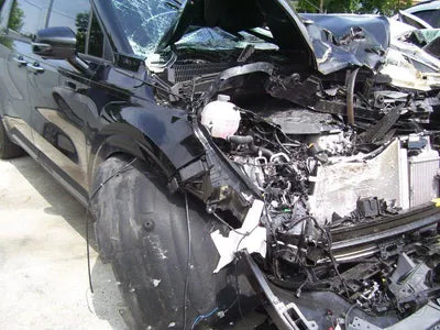 2023 Kia Carnival KNANE81BBPS292649 VIN:KNANE81BBPS292649