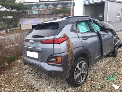 2018 Hyundai Kona KMHK5816GJU204913 VIN:KMHK5816GJU204913