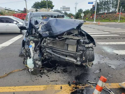 2016 Hyundai Santa FE KMHSW81UBHU733029 VIN:KMHSW81UBHU733029