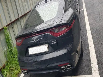 2020 Kia Stinger KNAE751CDLS085806 VIN:KNAE751CDLS085806