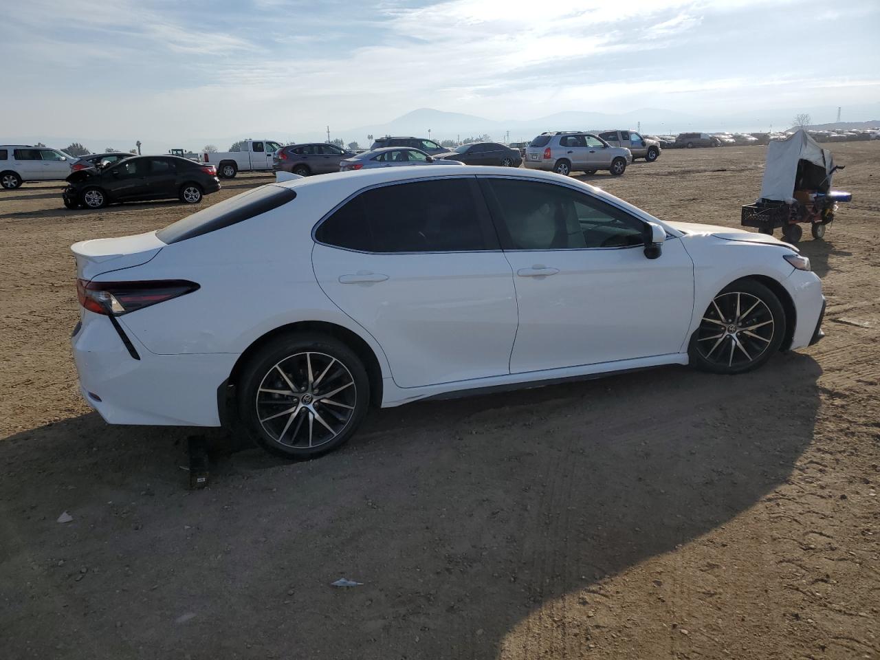 2023 TOYOTA CAMRY SE NIGHT SHADE VIN:4T1G31AK7PU609452