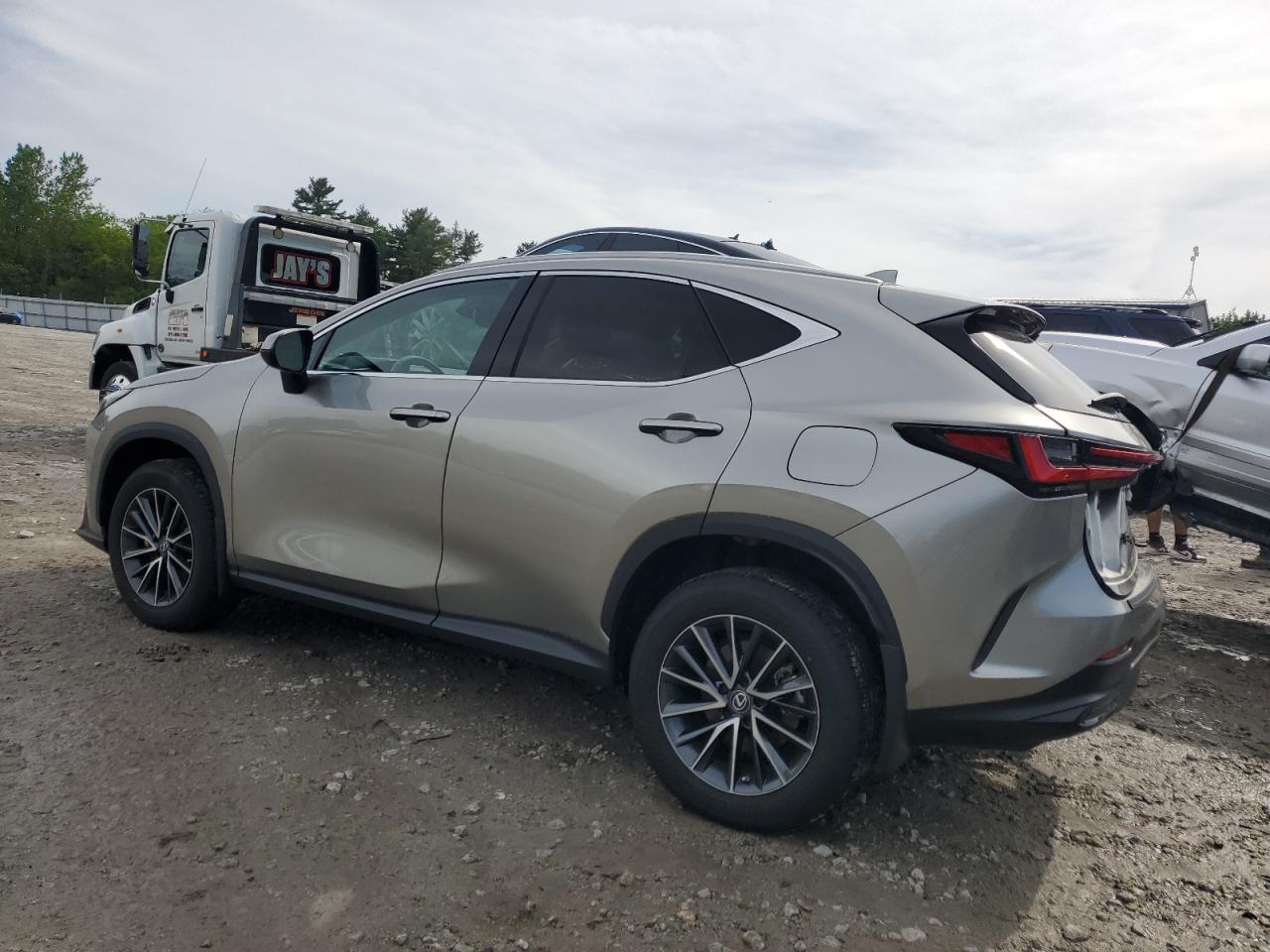 2023 LEXUS NX 350 VIN:2T2AGCEZ4PC031160