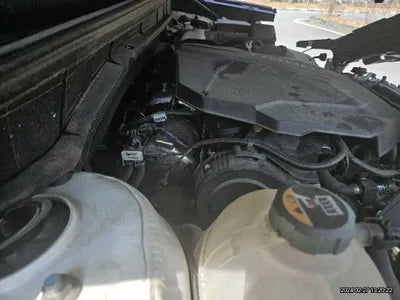 2022 Kia Sorento KNARF81BHNA116795 VIN:KNARF81BHNA116795