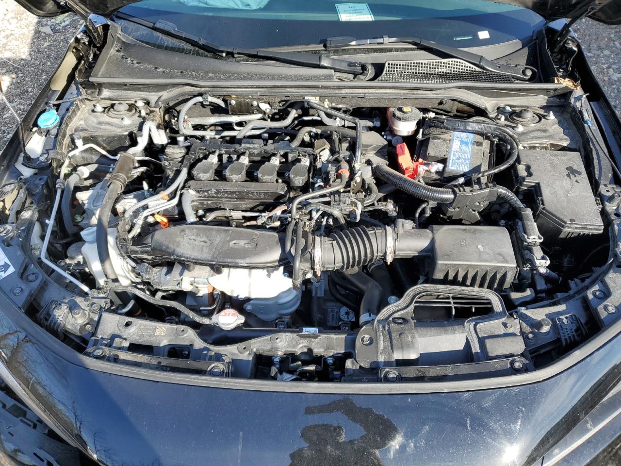 2024 HONDA CIVIC EX VIN:2HGFE1F71RH339253