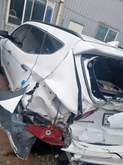 2017 Hyundai Santa FE KMHSW81UBHU743236 VIN:KMHSW81UBHU743236