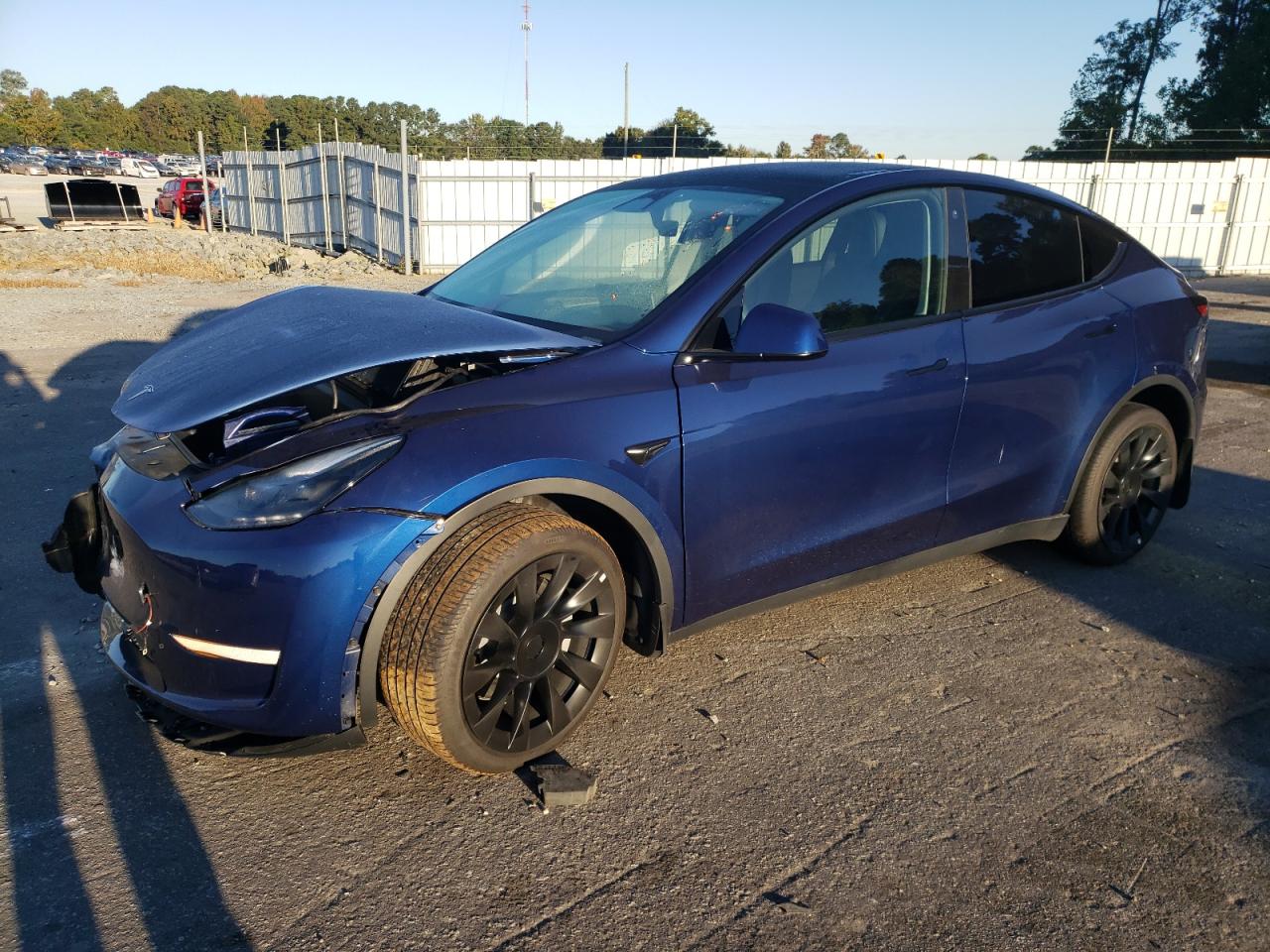 2023 TESLA MODEL Y  VIN:7SAYGDEE2PF688592
