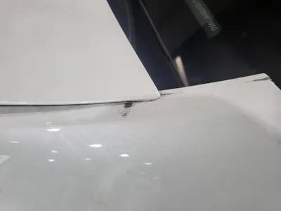 2021 Tesla Model Y 5YJYGDEE9MF176692 VIN:5YJYGDEE9MF176692