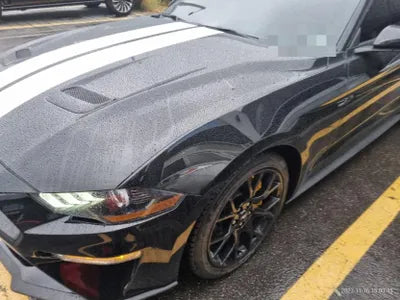 2019 Ford Mustang VIN: