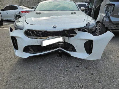 2018 Kia Stinger KNAE751CBJS029587 VIN:KNAE751CBJS029587