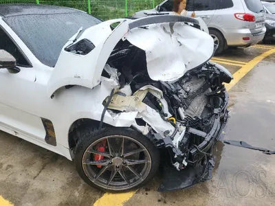 2021 Kia Stinger KNAE551CBNS115060 VIN:KNAE551CBNS115060