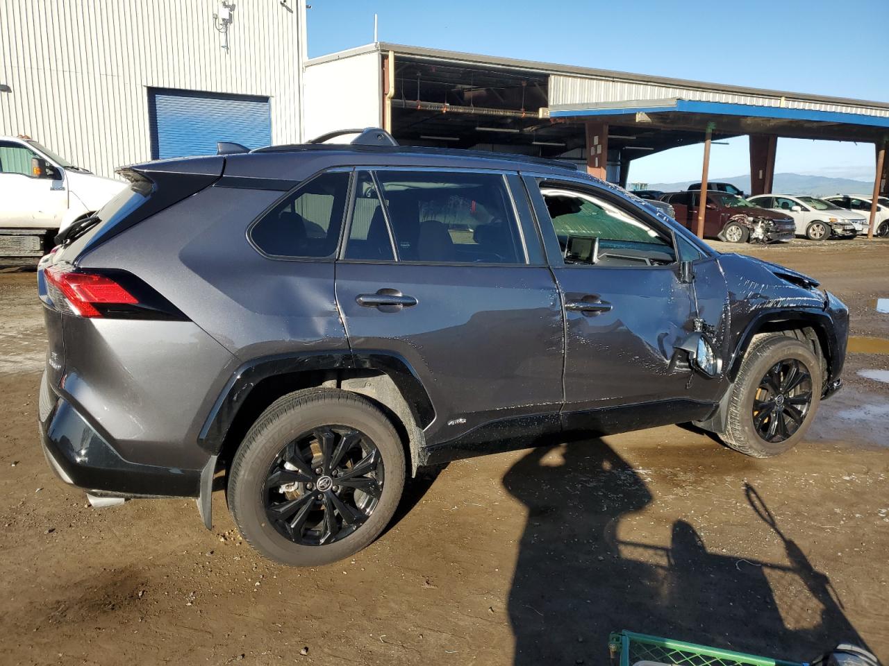 2024 TOYOTA RAV4 SE VIN:JTM16RFV2RJ061299