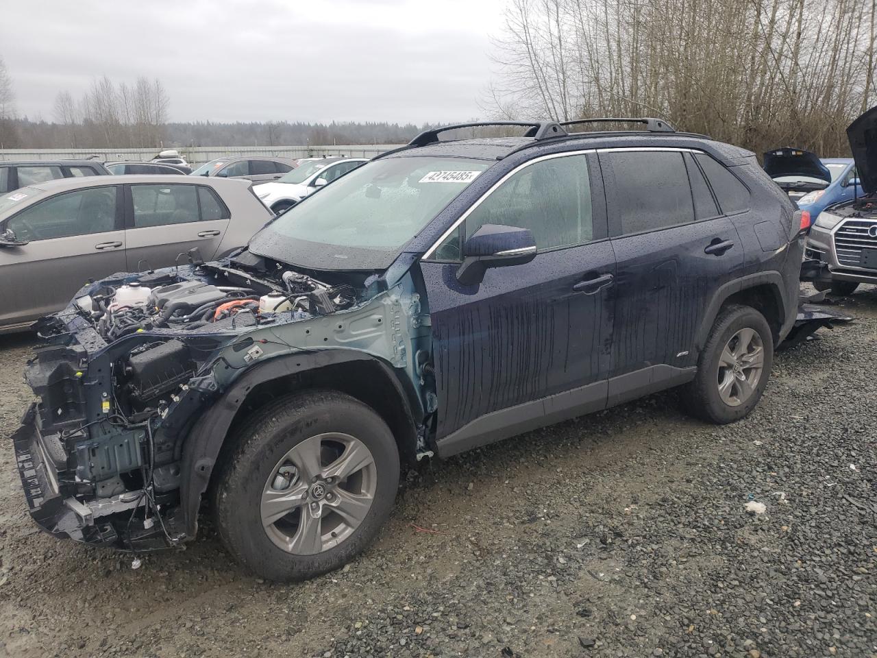2024 TOYOTA RAV4 XLE VIN:4T3RWRFV7RU158213