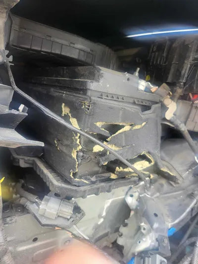 2020 Hyundai Santa FE KMHS381CBLU305091 VIN:KMHS381CBLU305091