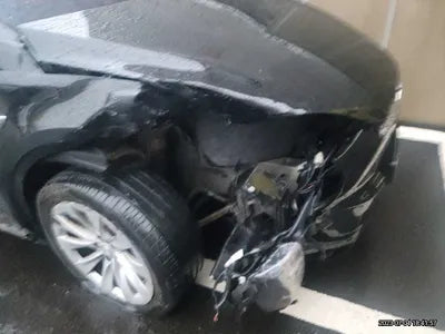 2019 Tesla Model X 5YJXCAE21KF146983 VIN:5YJXCAE21KF146983