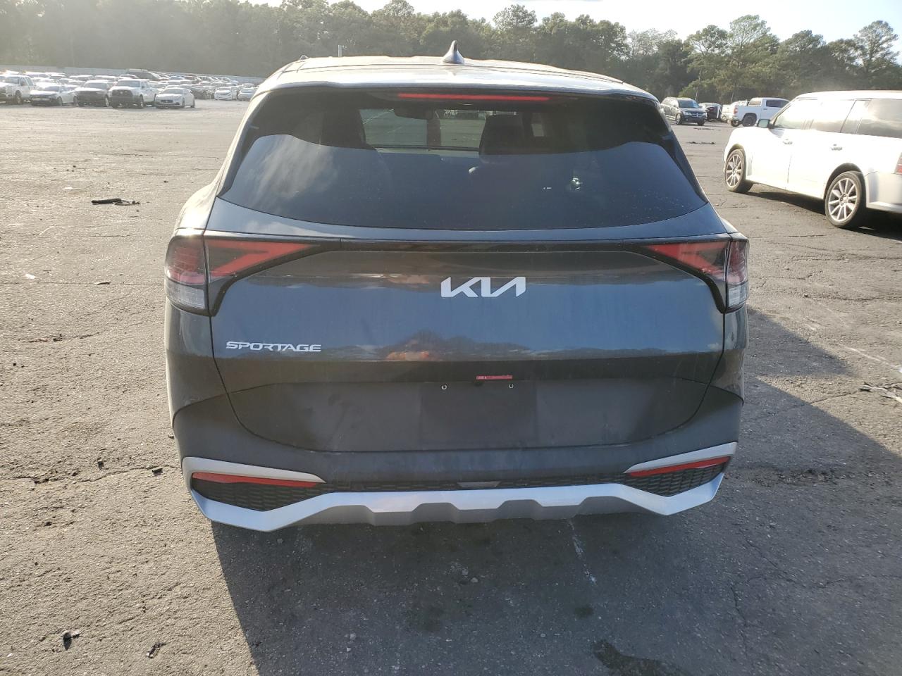 2024 KIA SPORTAGE EX VIN:5XYK33DF3RG212849