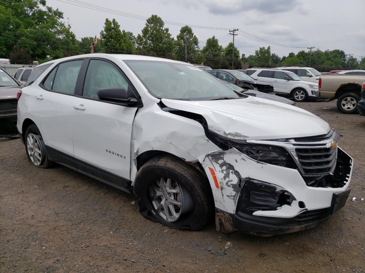 2022 CHEVROLET EQUINOX LS VIN:3GNAXSEV6NS246963