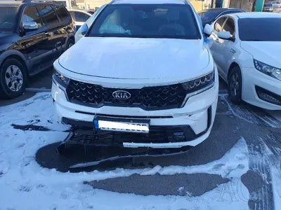 2020 Kia Sorento KNARK81GBMA006789 VIN:KNARK81GBMA006789