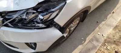 2019 Kia Sorento KNAPK81BDLA554946 VIN:KNAPK81BDLA554946