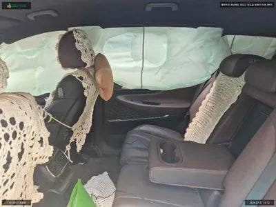 2019 Hyundai Santa FE KMHS581BDKU176768 VIN:KMHS581BDKU176768
