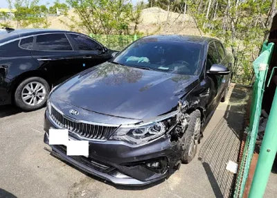 2019 Kia K5 KNAGU411BKA254091 VIN:KNAGU411BKA254091