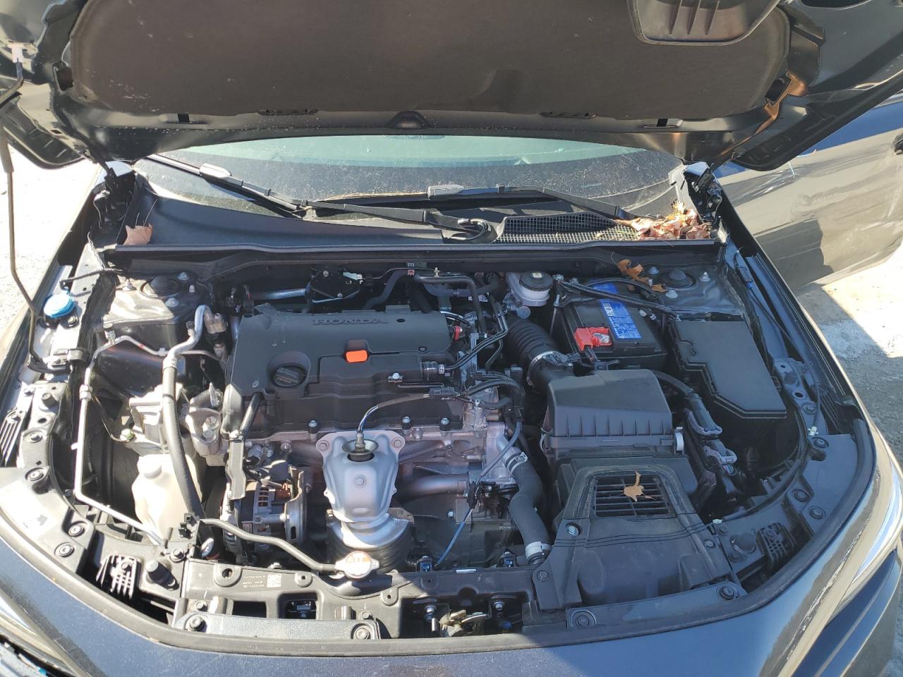 2024 HONDA CIVIC SPORT VIN:2HGFE2F5XRH525989